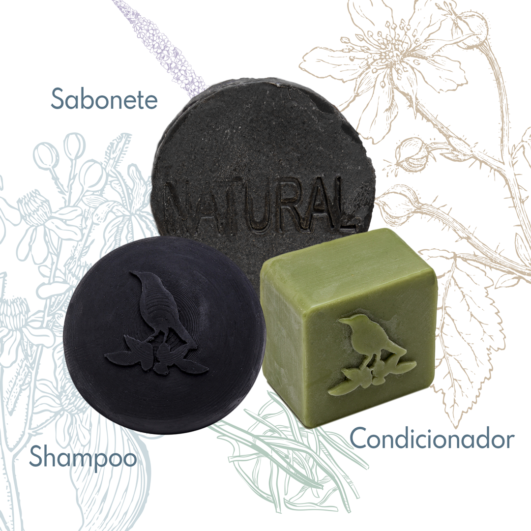 Kit Sólidos De La Terre Cosmeticos