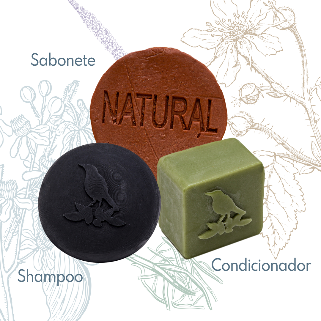 Kit Sólidos De La Terre Cosmeticos