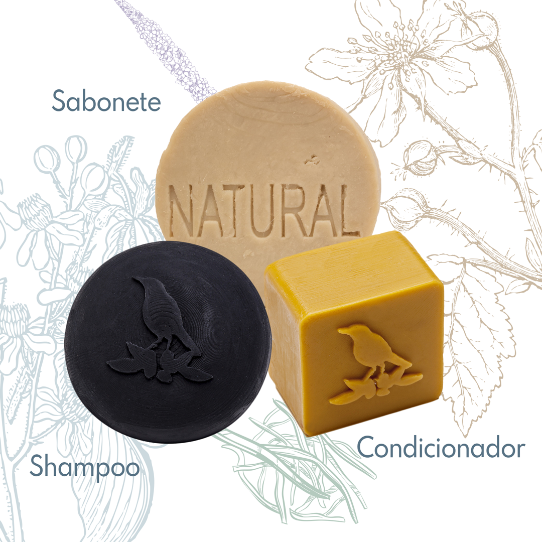 Kit Sólidos De La Terre Cosmeticos