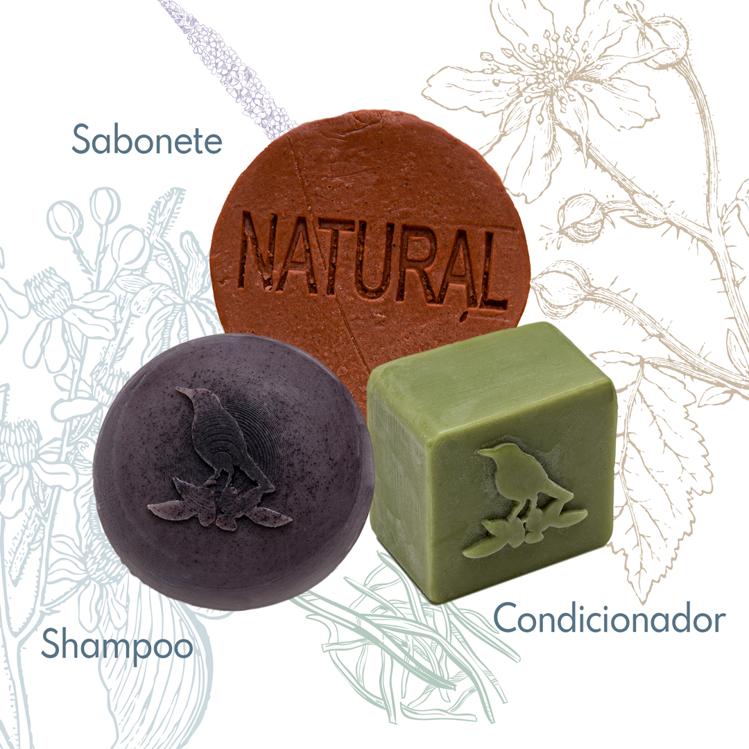 Kit Sólidos De La Terre Cosmeticos