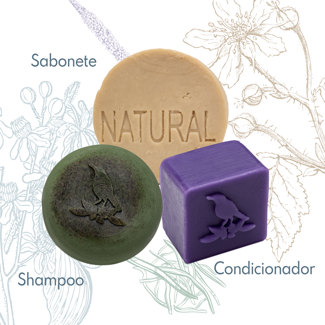 Kit Sólidos De La Terre Cosmeticos