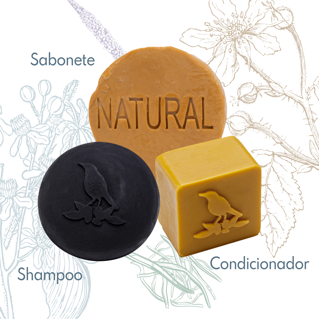 Kit Sólidos De La Terre Cosmeticos