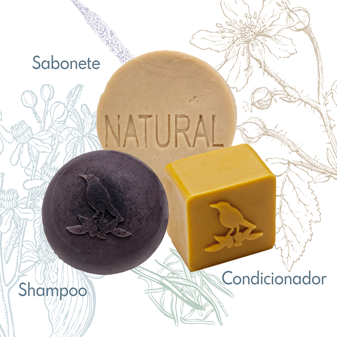 Kit Sólidos De La Terre Cosmeticos