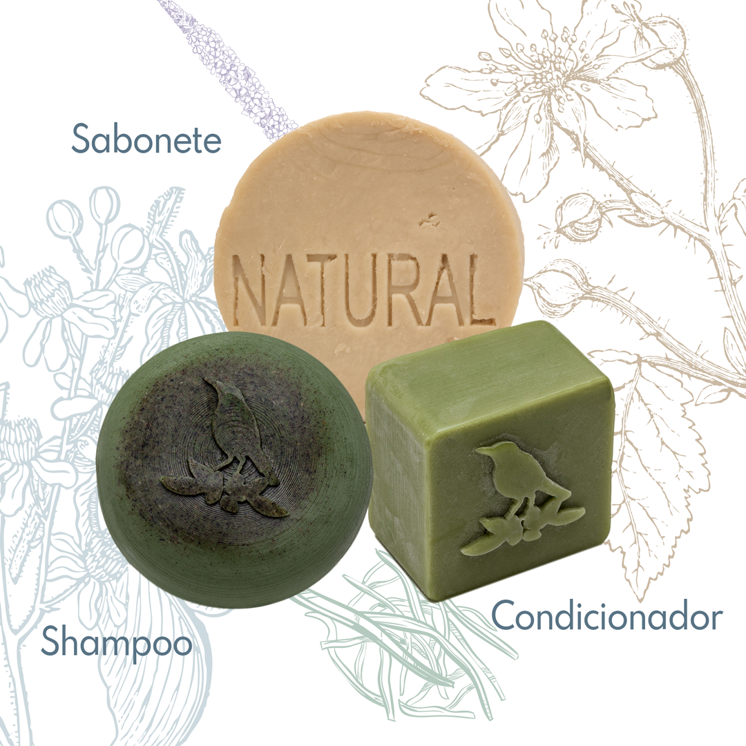 Kit Sólidos De La Terre Cosmeticos