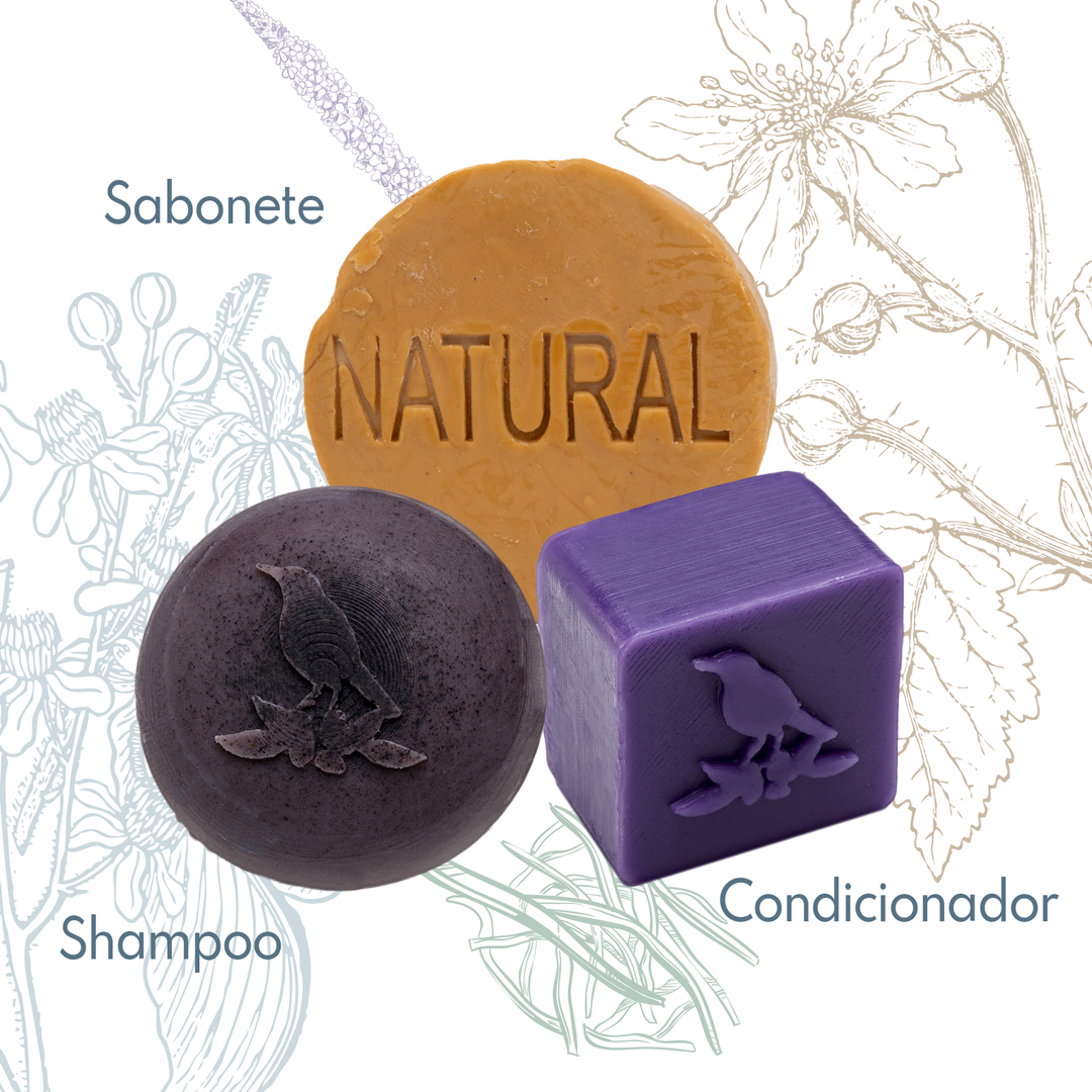 Kit Sólidos De La Terre Cosmeticos
