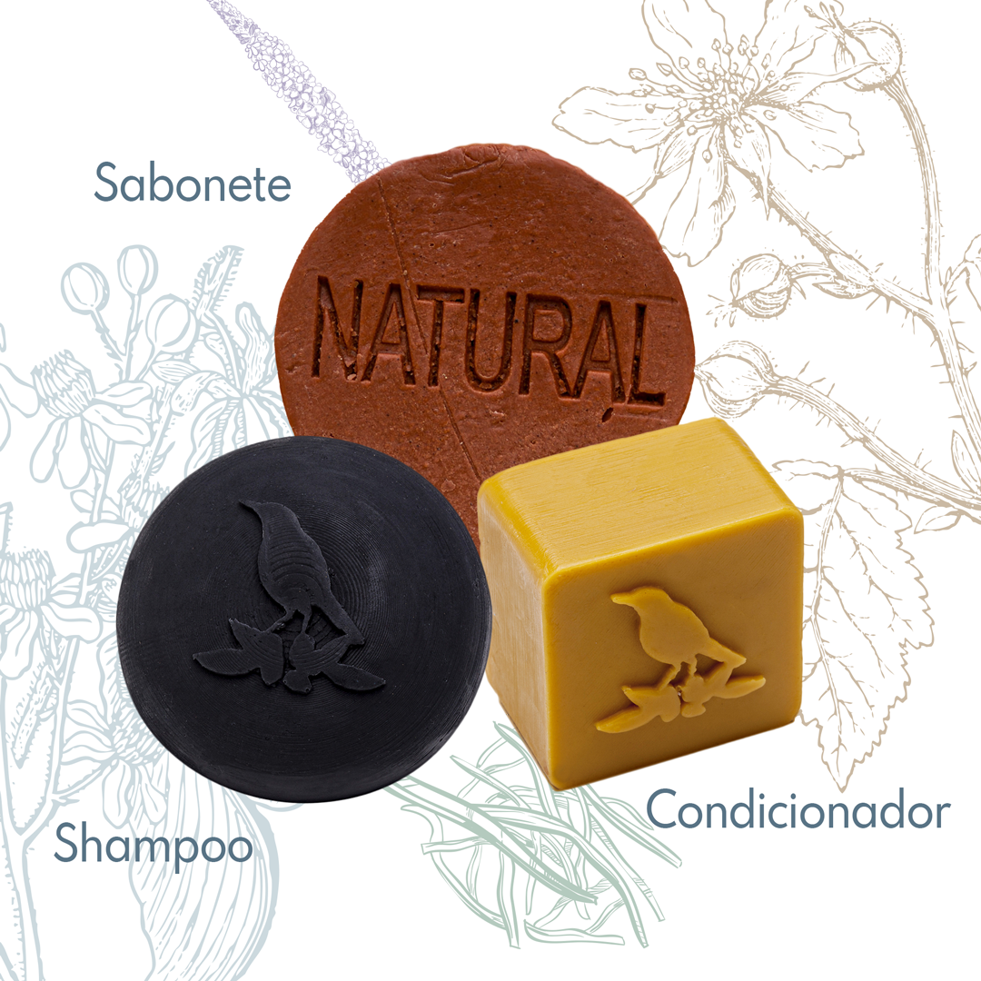 Kit Sólidos De La Terre Cosmeticos