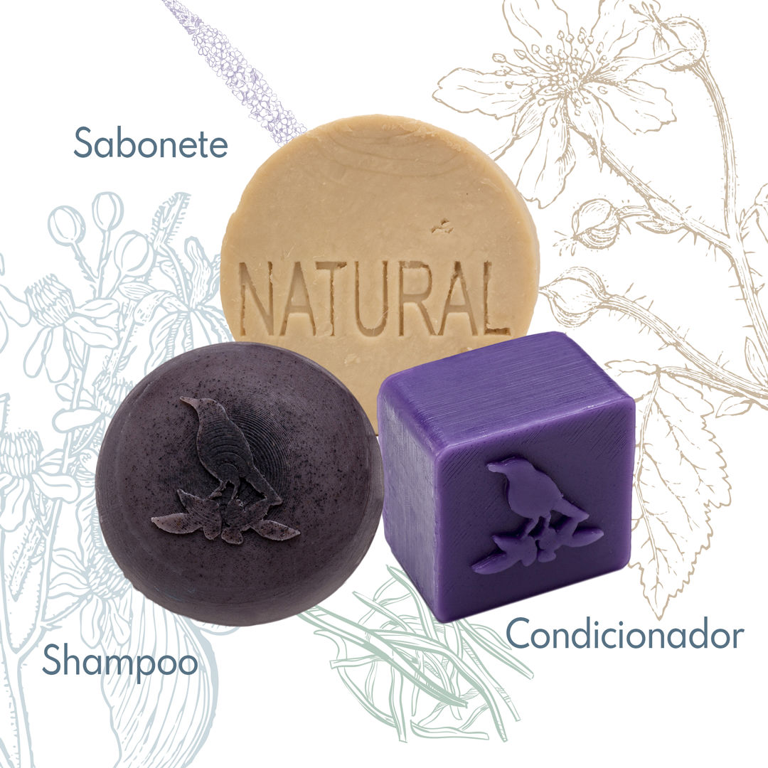 Kit Sólidos De La Terre Cosmeticos