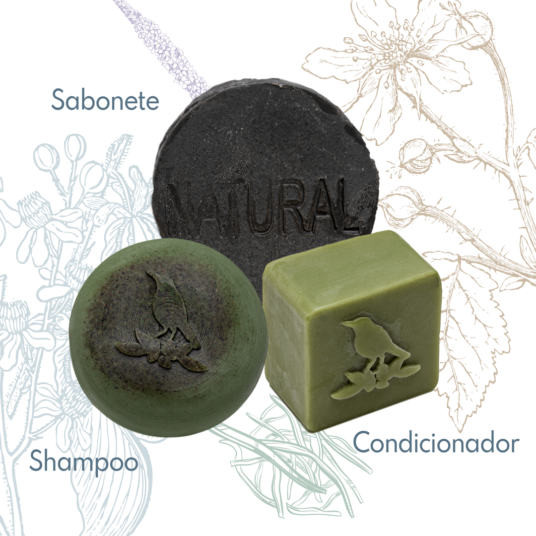 Kit Sólidos De La Terre Cosmeticos