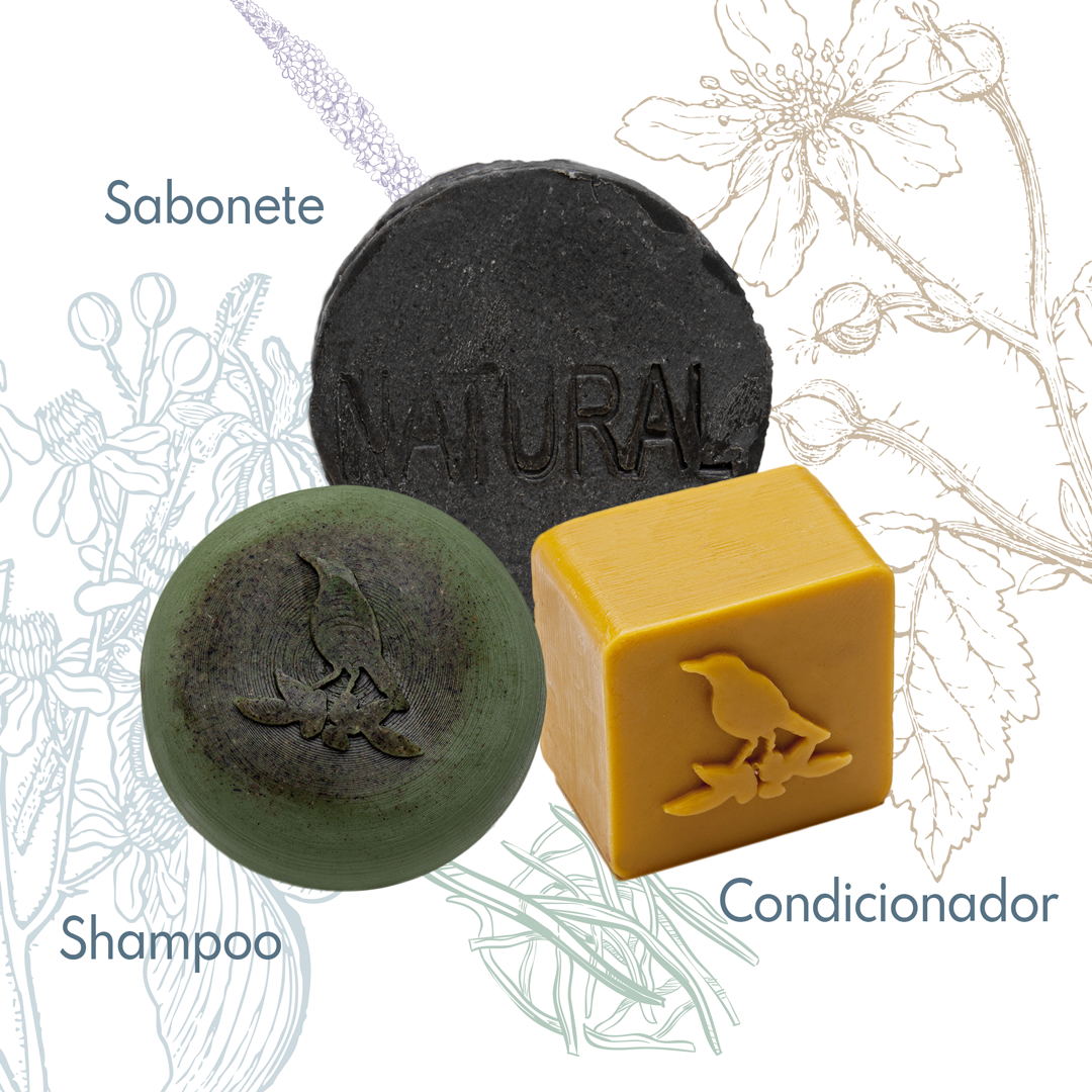 Kit Sólidos De La Terre Cosmeticos