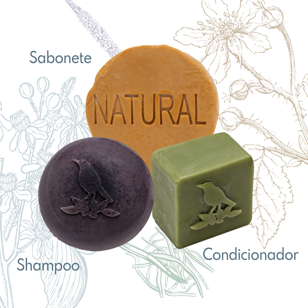 Kit Sólidos De La Terre Cosmeticos