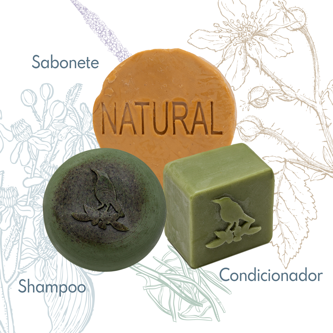 Kit Sólidos De La Terre Cosmeticos