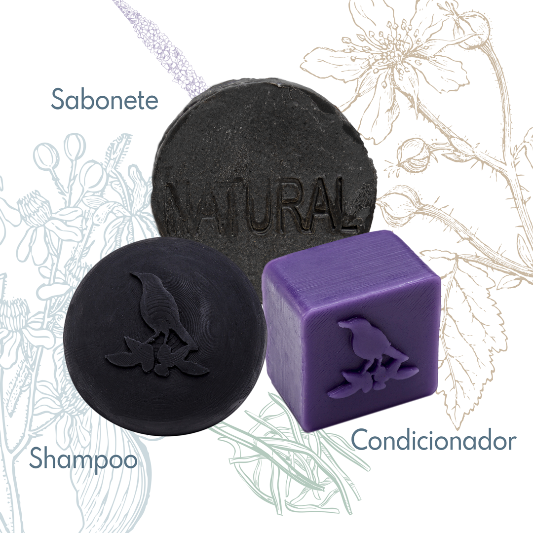 Kit Sólidos De La Terre Cosmeticos