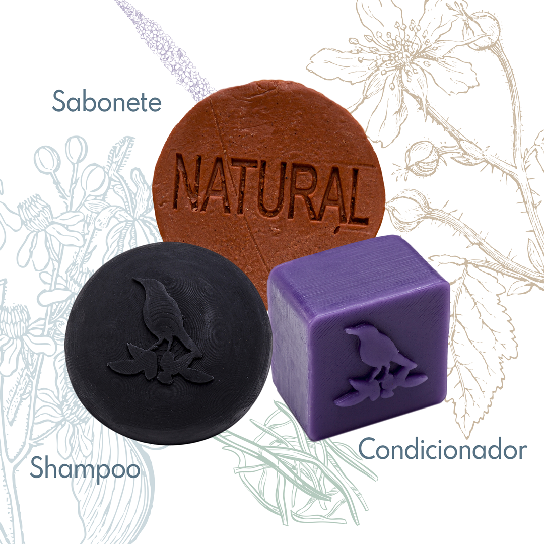 Kit Sólidos De La Terre Cosmeticos