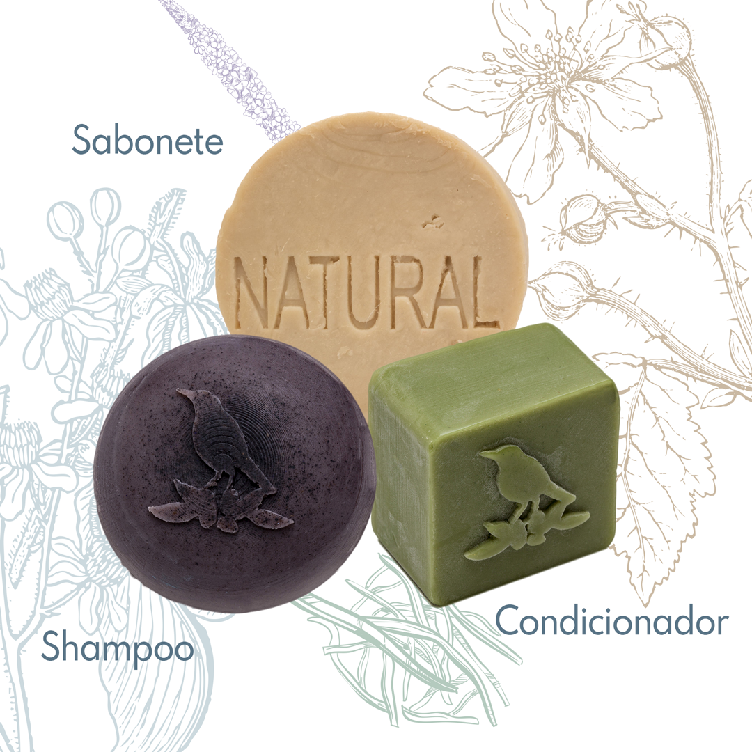 Kit Sólidos De La Terre Cosmeticos
