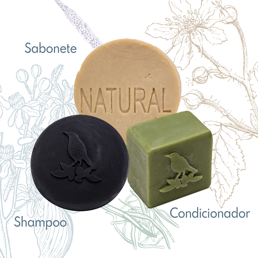 Kit Sólidos De La Terre Cosmeticos