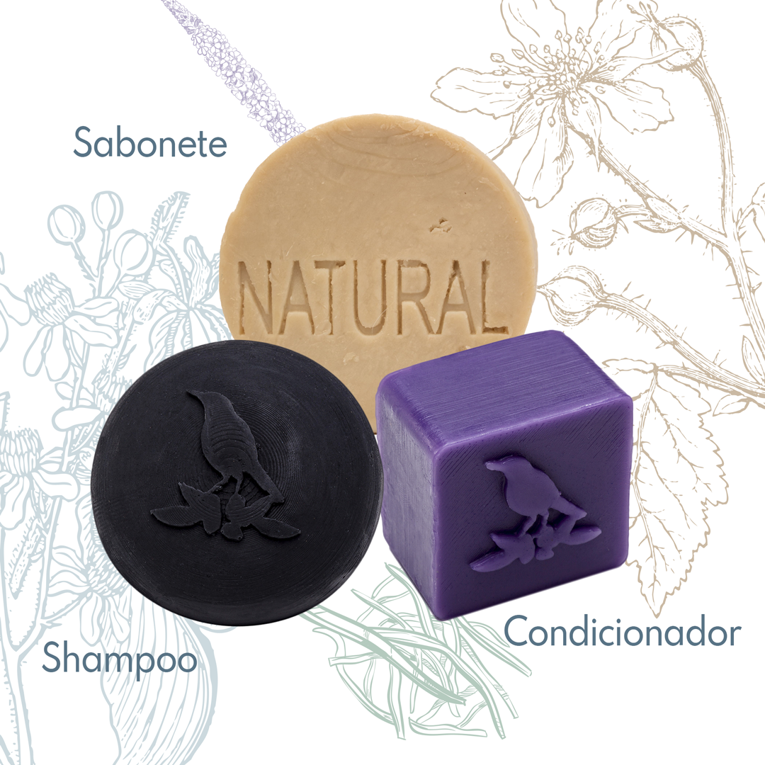 Kit Sólidos De La Terre Cosmeticos
