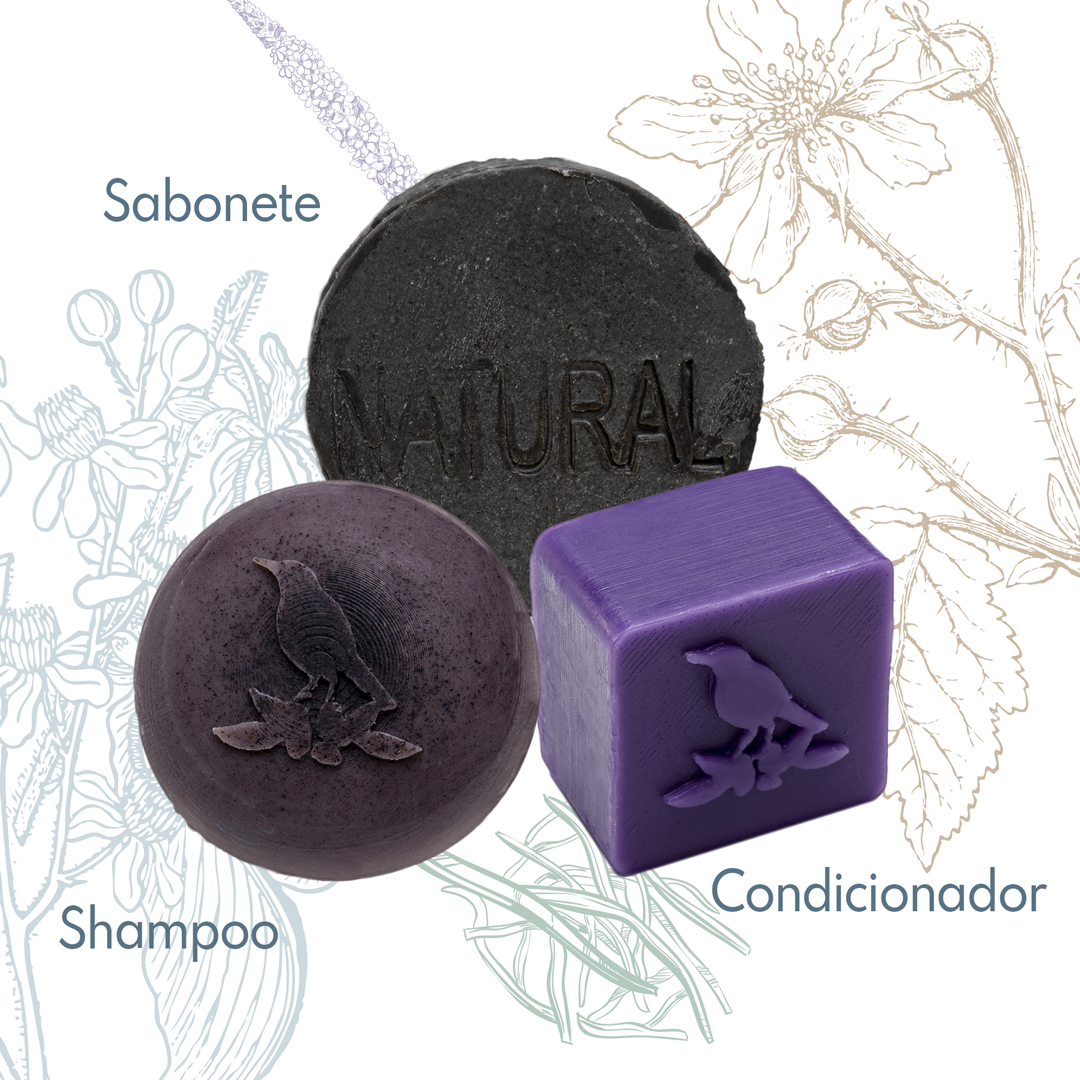 Kit Sólidos De La Terre Cosmeticos