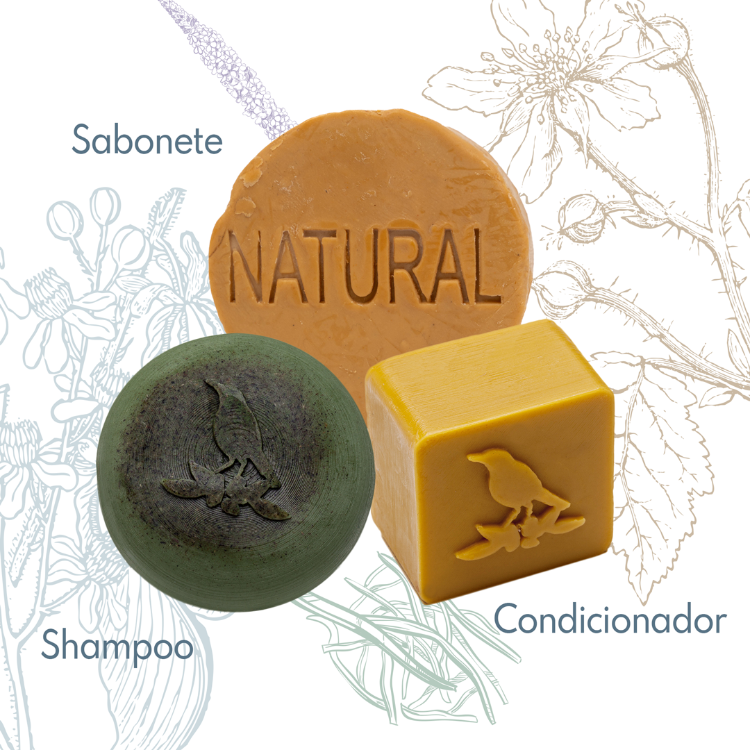 Kit Sólidos De La Terre Cosmeticos