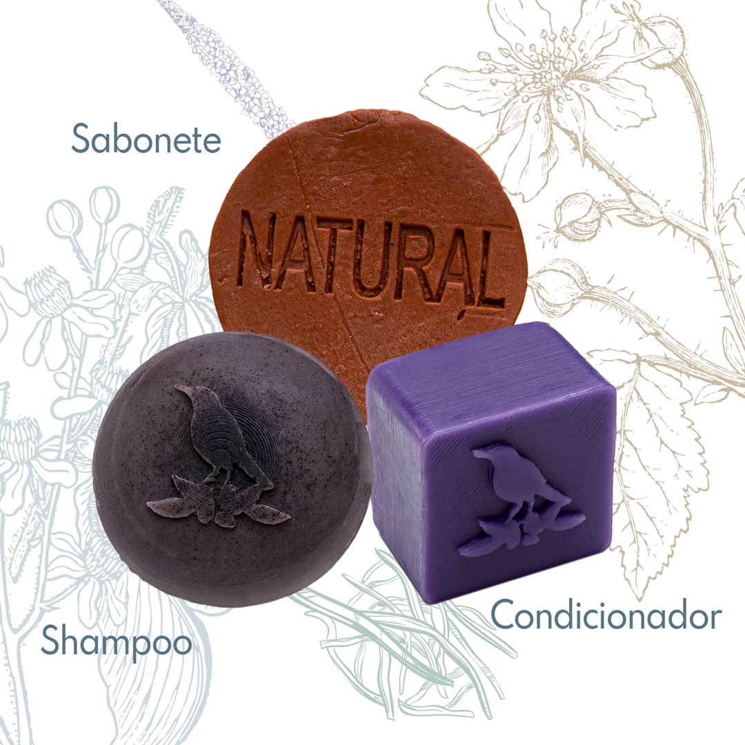 Kit Sólidos De La Terre Cosmeticos