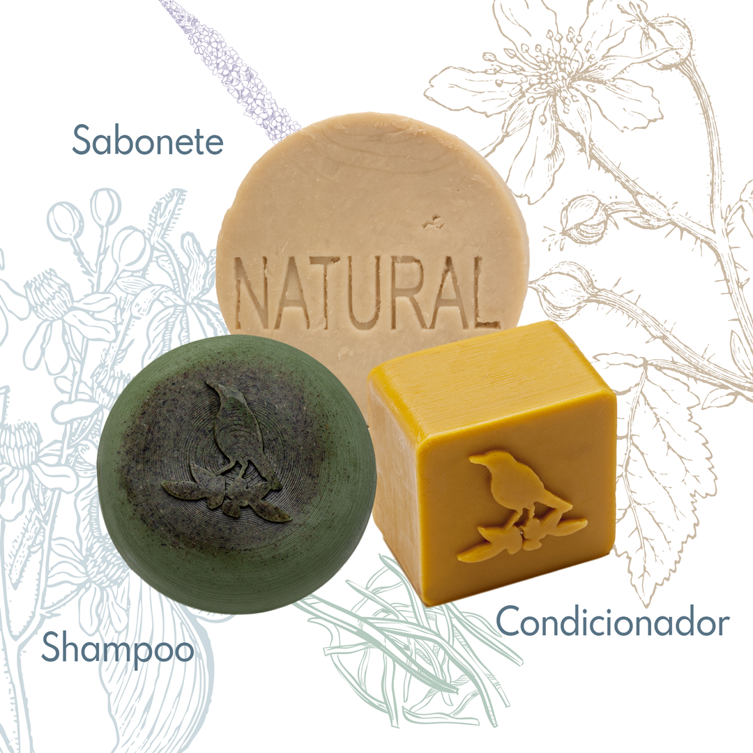 Kit Sólidos De La Terre Cosmeticos