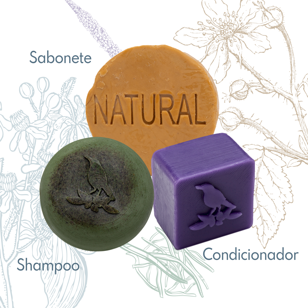 Kit Sólidos De La Terre Cosmeticos