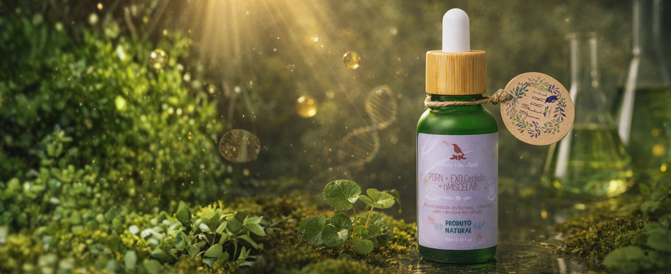 Banner da De La Terre